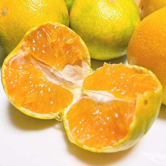 【先行予約】【秋の美味】【農家直送】ゆら早生有田みかん（ご家庭用）1.2kg(1kg+200g(傷み補償分))  ふるさと納税 みかん