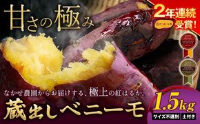 芋 熊本 県 大津 町産 なかせ 農園の蔵出しベニーモ 選べる 約 1.5kg (大中小サイズ不揃い)《1-5日以内に出荷予定(土日祝除く)》 さつま いも さつま芋 芋 紅 はるか スイート ポテト 干し芋にも 特産品 SDGs 中瀬農園---fn_nksimo_s_25_4000_1500g---