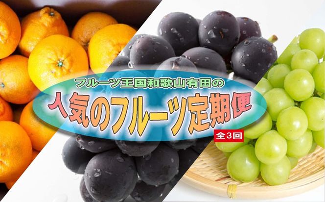 定期便全3回【3月・8月・9月発送】フルーツ王国和歌山の人気フルーツ定期便（不知火・たねなし巨峰・シャインマスカット） BZ124