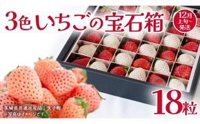 3色いちご の宝石箱18粒【2026年12月上旬発送開始】(茨城県共通返礼品：大子町) いちご 苺 果物 フルーツ 果実
