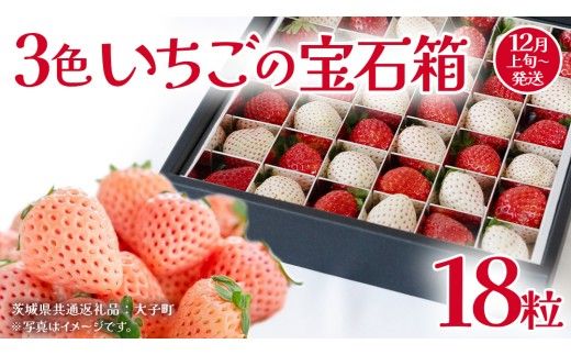 3色いちご の宝石箱18粒【2026年12月上旬発送開始】(茨城県共通返礼品：大子町) いちご 苺 果物 フルーツ 果実