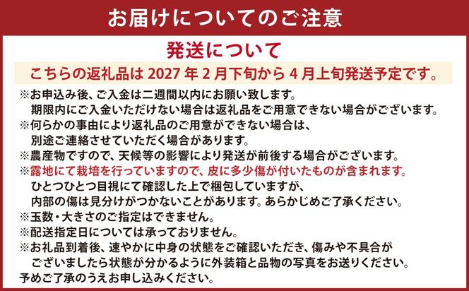 【先行受付】特別栽培パール柑（天草文旦） 9kg サイズミックス パール柑 文旦 天草文旦 柑橘 フルーツ 果物 果実 九州産 熊本県産【2027年2月下旬から4月上旬発送予定】