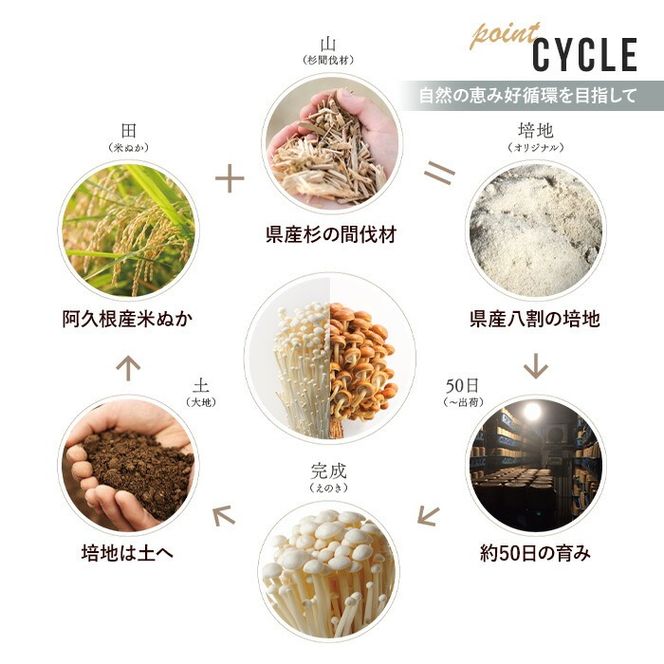 濃いえのき2種セット(20袋・合計530g) 国産 白えのき 黒えのき エノキ きのこ 茸 キノコ セット 個包装 乾燥 常温保存 【三笠えのき茸生産組合】akn010-22