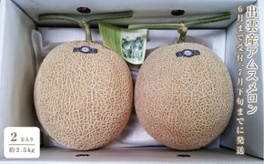 アムスメロン　2玉入り（約2.5kg）【6月下旬から7月下旬にお届け】 322032_CG022