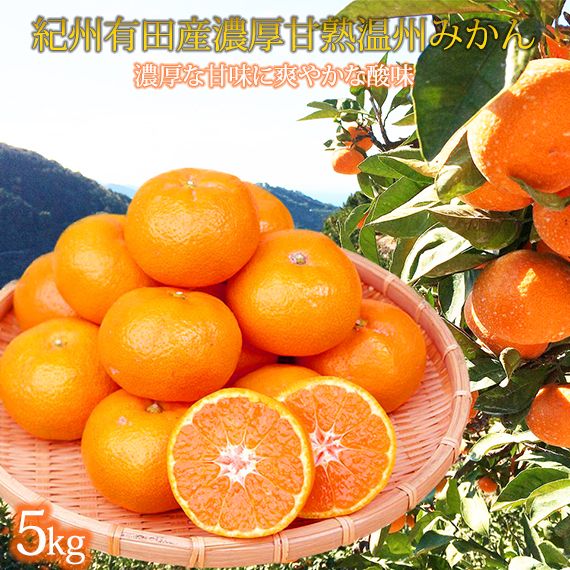 【先行予約】紀州有田産 濃厚完熟 温州みかん 5kg ※2026年11月下旬～2027年1月下旬頃に順次発送予定(お届け日指定不可)/ みかん ミカン 蜜柑 温州みかん 柑橘 フルーツ 果物 くだもの 和歌山【uot006】