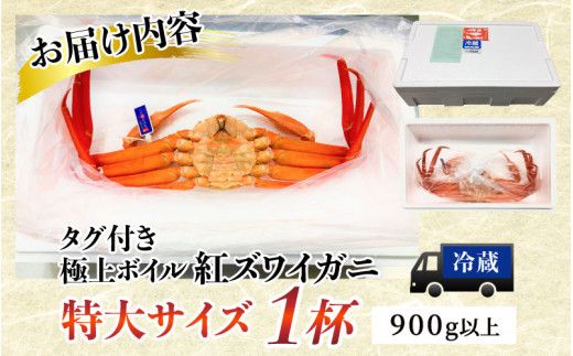 【先行予約】タグ付き極上ボイル紅ズワイガニ 冷蔵配送 【26年10月以降順次発送予定】川村水産【紅ズワイガニ カニ 紅ずわいがに かに 冷蔵 チルド 北陸 滑川 ブランド蟹】