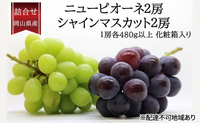 ぶどう 2026年 先行予約 詰合/ニューピオーネ2房(1房480g以上)・シャインマスカット晴王2房(1房480g以上)　化粧箱入り ブドウ 葡萄 岡山県産 国産 フルーツ 果物 ギフト [№5735-2011]