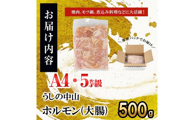 うしの中山 ホルモン(大腸)500g(500g×1袋) p9-028