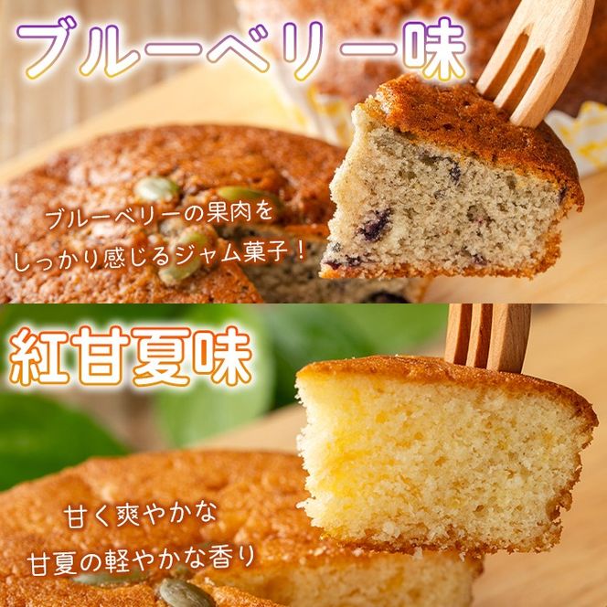 isa937 ジャム菓子 スペシャルセット(18個) 詰め合わせ 洋菓子 菓子 焼き菓子 ケーキ ジャム ギフト かぼちゃ ゆず サワーポメロ 紅はるか ブルーベリー 紅甘夏 【薩摩美食倶楽部】
