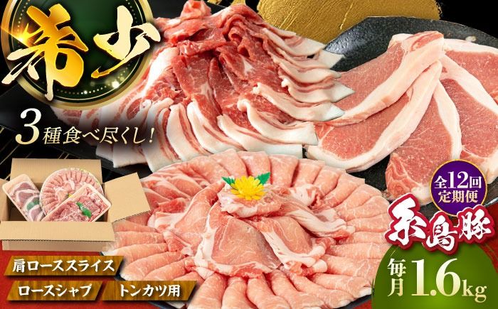 [全12回定期便]糸島 豚 バラエティ セット ( しゃぶしゃぶ / 肩ロース / とんかつ )糸島市 / トラヤミートセンター [AJD012] 国産 豚肉 とんかつ 肩ロース 詰め合わせ しゃぶしゃぶ