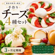  3ヶ月定期便 チーズ 4種 詰め合わせ 各1個 Osteria e Bottega S モッツァレラ ブラッターチーズ スカモルツァアフミカータ 神奈川県 茅ケ崎市 加工食品 乳製品 牛乳 手作業 ミルク 銀賞 幻のチーズ スモーク 塩漬け 美味しい  おつまみ ピザ 