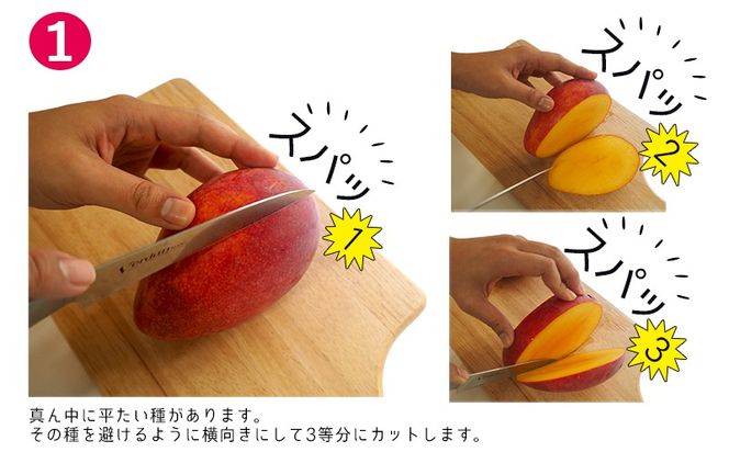 【2026年発送】濃密マンゴー《秀品・約1kg》大宜味村農家さんから直送 秀品 先行予約 沖縄 甘味 糖度 濃厚 おいしい お土産 まんごー アーウィン 果物 くだもの 果実 送料無料 ふるさと納税 １キロ トロピカル 箱入り 食べ物 フルーツ