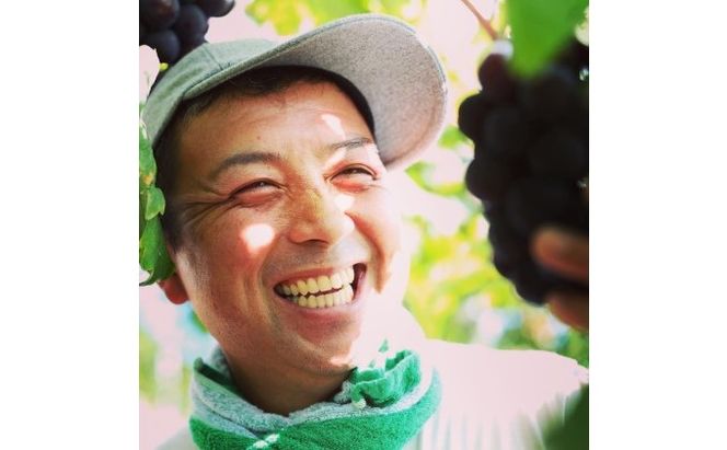 黒 ニュー ピオーネ 1房 650g以上 葡萄 ぶどう フルーツ 岡山 高梁市産 赤迫農園 2026年 先行予約 果物 デザート 愛情 最高 新鮮 桐箱入り 美味しい 