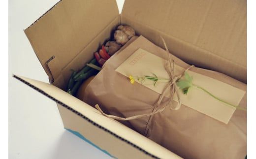 【6回定期便】【土佐野菜】旬の野菜詰め合わせ10～13品目【株式会社SIMA】 [BQAZ004]