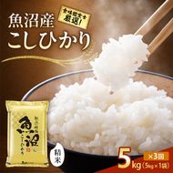 【令和8年産 先行予約】「3カ月定期便」食味鑑定士厳選！魚沼産こしひかり 5kg×3回 白米 米 コシヒカリ 定期 新潟県 十日町市