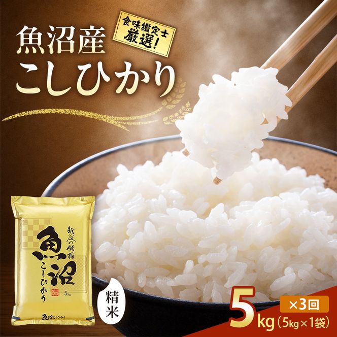 【令和8年産 先行予約】「3カ月定期便」食味鑑定士厳選！魚沼産こしひかり 5kg×3回 白米 米 コシヒカリ 定期 新潟県 十日町市