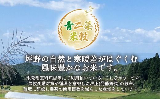 山の湧き水 寒暖差 山里 山里の米･坪野米 R8年産 環境保全米こしひかり 10kg　※北海道・沖縄・離島への配送不可 ※2026年10月～発送