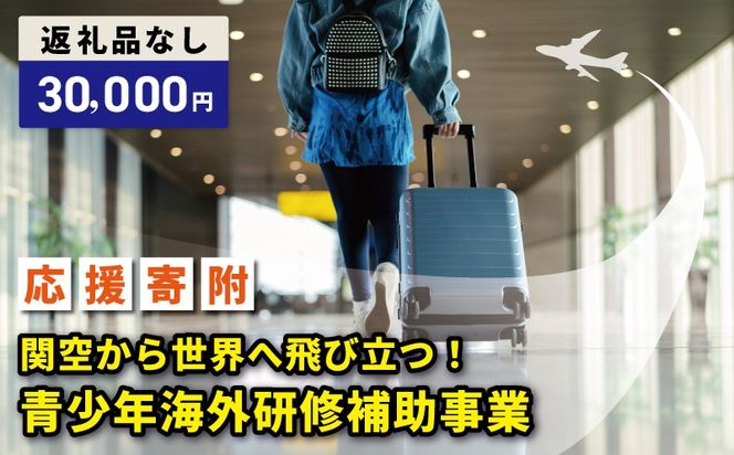 ON0033 【返礼品なし】関空から世界へ飛び立つ！青少年海外研修補助応援寄附（大阪府泉佐野市）