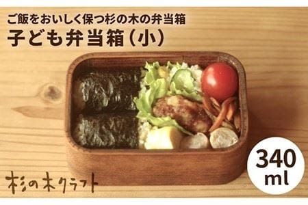 子ども 弁当箱 （ 小 ） 《糸島》【杉の木クラフト】 [AQB006]] 弁当箱 子供 天然素材 杉