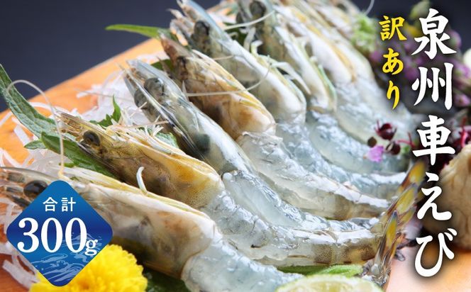 y{򍲖szG2185 yHzBԂ 300gy󂠂 TCYs s\ Gr CV Y  CN Ⓚz