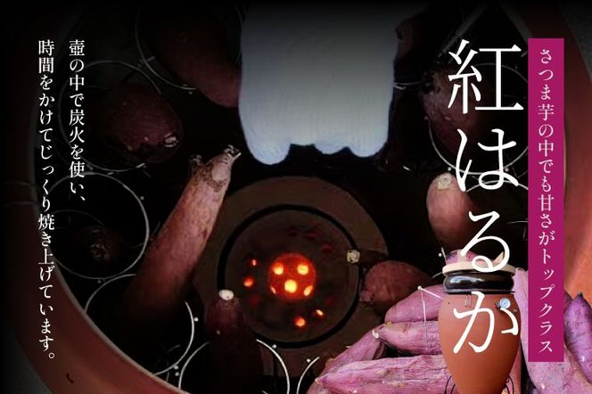 壺焼き芋 6本【埼玉県 春日部市 焼き芋 紅はるか さつまいも 炭火焼き スイーツ おやつ 6本】（DK001）
