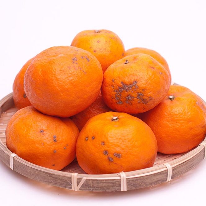 ＜4月より発送＞家庭用 カラマンダリン5kg+250g（傷み補償分）◇【南津海・なつみ】【希少な春柑橘】【わけあり・訳あり】【みかんと同じように食べられます】　※北海道・沖縄・離島への配送不可　※2026年4月上旬～5月下旬頃に順次発送予定