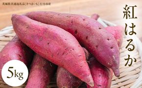 べにはるか 5kg （茨城県共通返礼品 [さつまいも]：行方市産） さつまいも 紅はるか 生芋 芋 いも 野菜 [BI07-NT]