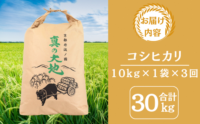 定期便 令和7年産 京都丹波産 コシヒカリ 10kg　3回