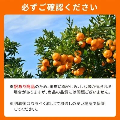 G7357_【2027年先行予約】紀州有田産 不知火 (しらぬい)【家庭用 訳あり】3kg デコポン フルーツ デザート 柑橘 果物 果実 みかん お取り寄せ 和歌山県 湯浅町 送料無料