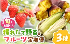 まつみやファーム獲れたて野菜・フルーツ3種定期便 ふるさと納税 果物 くだもの フルーツ ふるーつ 野菜 やさい 芋 穀物 紅はるか さつまいも いちご イチゴ 苺 ホワイトコーン 農家応援 生産者応援 送料無料　MY00023