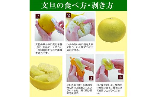 【先行予約】水晶文旦 ご家庭用お得箱 約6kg Mサイズ～4Ｌサイズ（12～16個入り）〈2026年10月上旬～11月上旬頃発送〉  /  訳あり ワケあり 訳 傷 キズ へこみ 文旦 ブンタン ぶんたん 水晶文旦 果物 柑橘【白木果樹園】 [BQAI022]