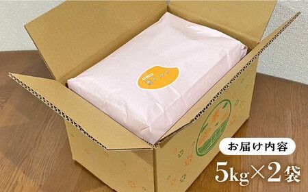 ＼ 令和6年産新米 ／ いとし米 厳選ひのひかり10kg (糸島産) 糸島市 / 三島商店[AIM045] 白米米 白米お米 白米ご飯 白米ひのひかり 白米ヒノヒカリ 白米九州 白米福岡 白米5キロ 白米ギフト 白米贈り物 白米贈答 白米お祝い 白米お返し 白米令和6年