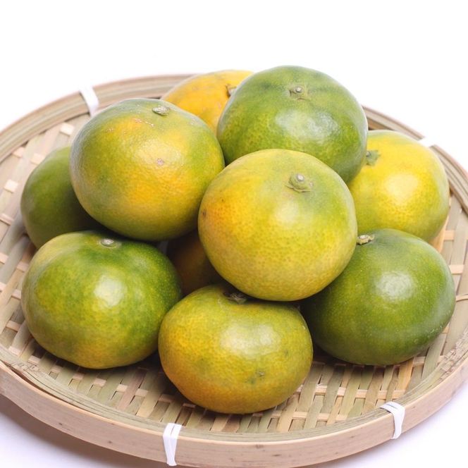 プレミアム 有田みかん（ゆら早生）5kg+250g（傷み補償分）  	CZ002