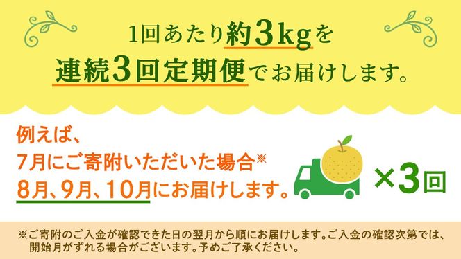 【定期便】3か月連続でお届け！ 旬の梨 おまかせ 約3kg（茨城県共通返礼品 [梨]：大子町産） 高糖度 ギフト 贈り物 プレゼント フルーツ なし ナシ 和梨 梨 果実 旬のフルーツ お取り寄せ くだもの 果物 みずみずしい