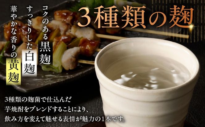 ＜選べる容量・容器＞かたじけない 芋焼酎 25度（2本～12本/900ml or 1.8L/瓶 or 紙パック）　K377-008_SKU