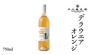 デラウエアオレンジ Delaware Orange 750ml×1 茨城県産 牛久醸造場 日本ワイン ワイン お酒 贈り物 上品 果実 クリスマス 誕生日 オレンジワイン 辛口 デラウェア ライトボディ