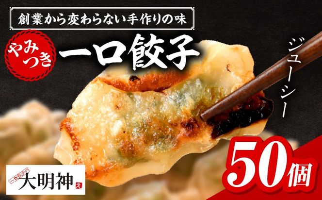 一口餃子 50 個入りタレ１個_kn107-001