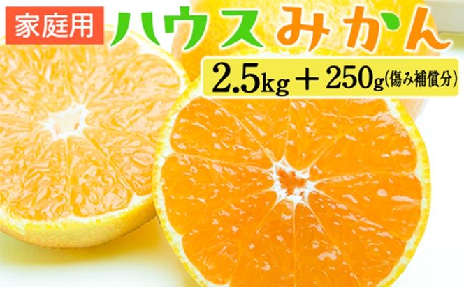 家庭用 ハウスみかん2.5kg+250g（傷み補償分）