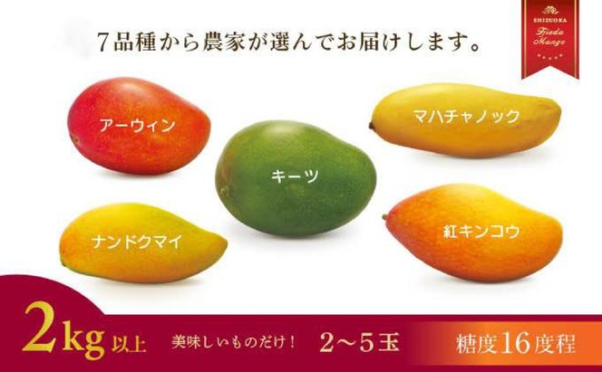 【選べる容量】完熟マンゴー 1～2kg 糖度約16度程 厳選 フルーツ 果物 国産 数量限定 マンゴー トロピカル フルーツ アーウィン マハチャノック ナンドクマイ 紅キンコウ キーツ 静岡県 藤枝市 