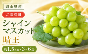 ぶどう 2026年 先行予約 ご家庭用 シャイン マスカット 晴王 3～6房 約1.5kg ブドウ 葡萄 岡山県産 国産 フルーツ 果物