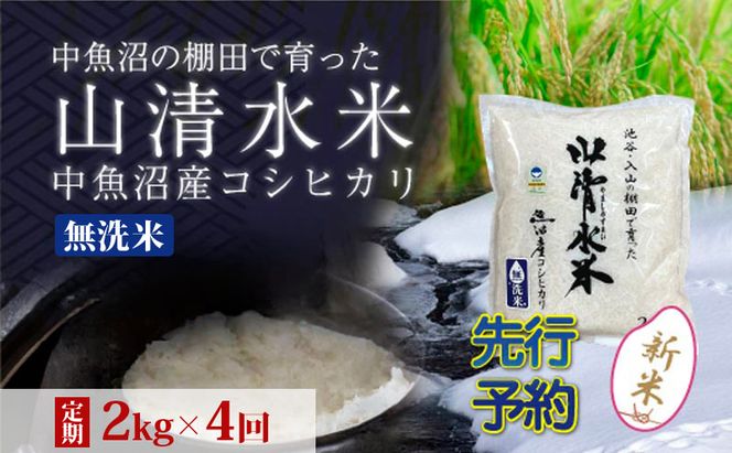 【令和8年産 先行予約】【定期便／全4回】無洗米2kg 新潟県魚沼産コシヒカリ「山清水米」