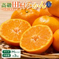 【2026年先行予約】「高級 田村みかん」 青秀 約3kg Mサイズ 和歌山県有田産 有田みかん_U6239n