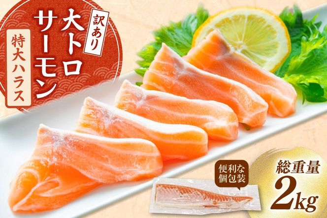 y{錧Csz󂠂 g T[ nX tB[ hg Y 2kg  [{X {錧 Cs 20565619] Hp   CN  TP VP  hg hg ͂炷 nX    Hp ^ ^pbN