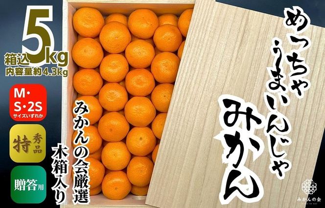 みかん めっちゃうまいんじゃ 木箱入 約5kg（内容量4.3kg） みかんの会厳選 特選品 M S 2S サイズのいずれか 和歌山県産 産地直送 S品 贈答用 【みかんの会】 AX192