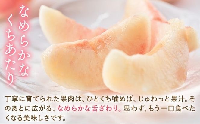 【ふるプレ限定品】 【2027年発送】岡山の桃 約1.1kg （3~5玉) 《2027年6月下旬-8月末発送》---yakage_loc_21_2027_p---