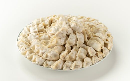 【野菜たっぷりヘルシー♪】一口ぎょうざ160個セット  B-636