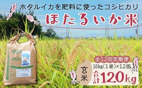 【訳あり】ほたるいか米（玄米10kg）×12回 計120kg【12ヶ月定期便】