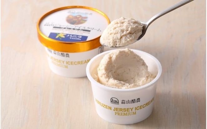 蒜山ジャージープレミアムアイスクリーム 12個セット / 岡山 真庭 極上スイーツ プレゼント ギフト ジャージー 牛乳 バニラ ミルク チョコ コーヒー 抹茶 アイス 贈答 食べ比べ 【hiru011-02】