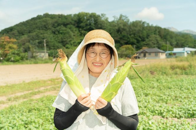 北海道 朝もぎ とうもろこし 恵味 L-LL サイズ 10本 スイートコーン ゴールドコーン めぐみ トウモロコシ とうきび コーン 旬 完熟 野菜 甘い 産地直送 お取り寄せ 北海道産