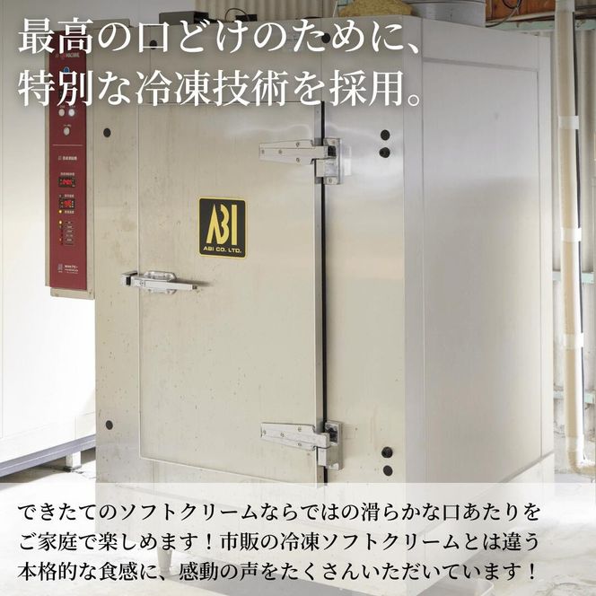 アイス 抹茶 6個 セット シロップ付き 濃厚 ソフトクリーム アイスクリーム スイーツ 静岡 藤枝